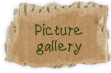 picture gallery